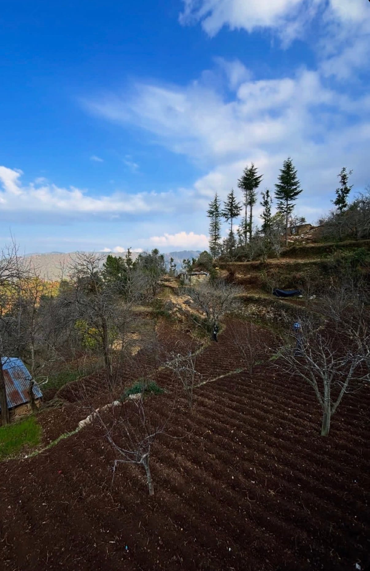 Building the Best Villas & Cottages Across the Kumaon Region — Not Just Nainital
