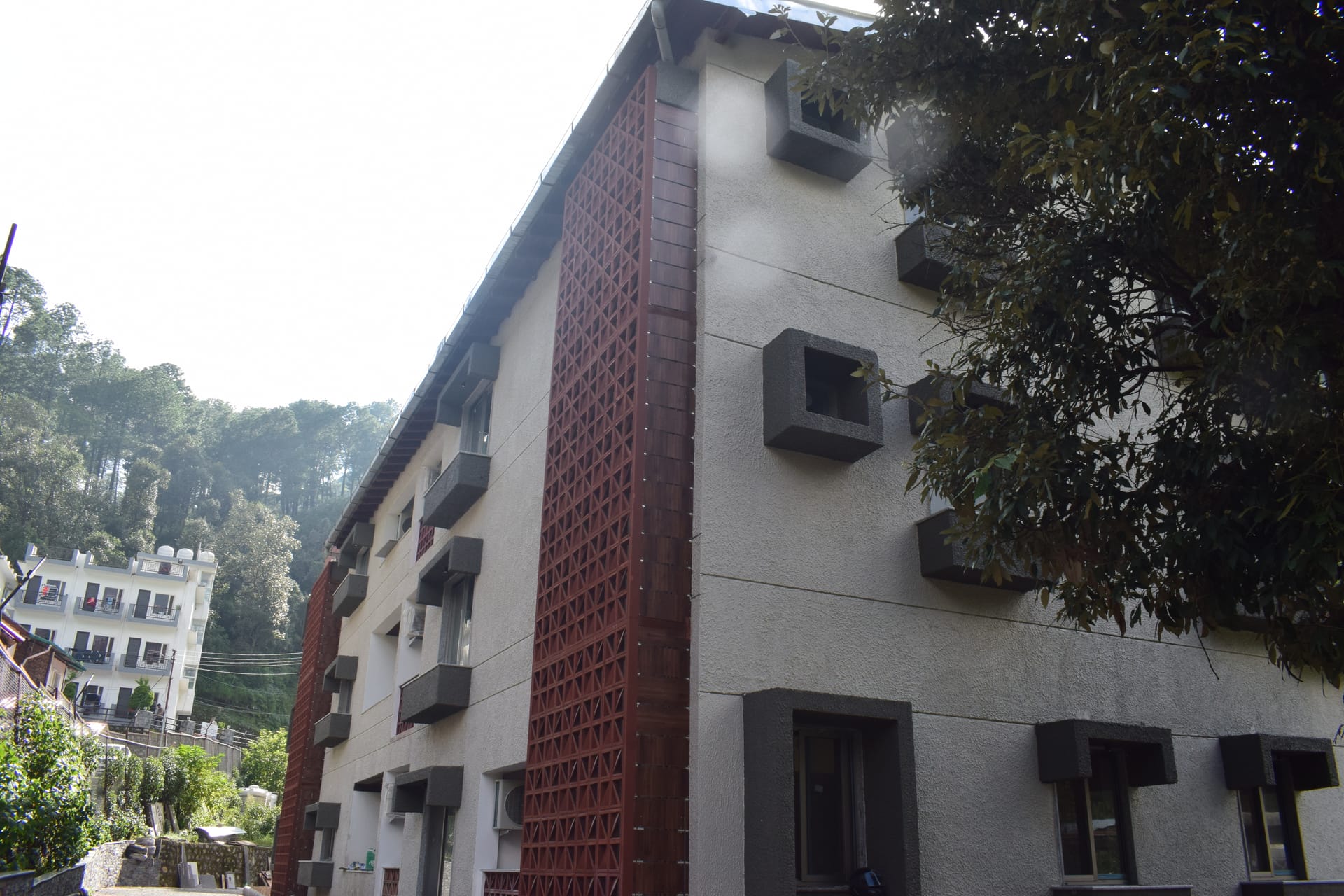 Project 2 Image 6
